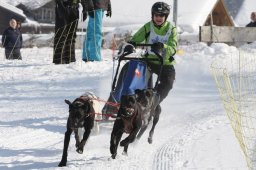 Lenk 2012 SM
